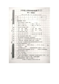 江西省宜春市丰城市2023-2024学年六年级上学期语文第三次月考试题
