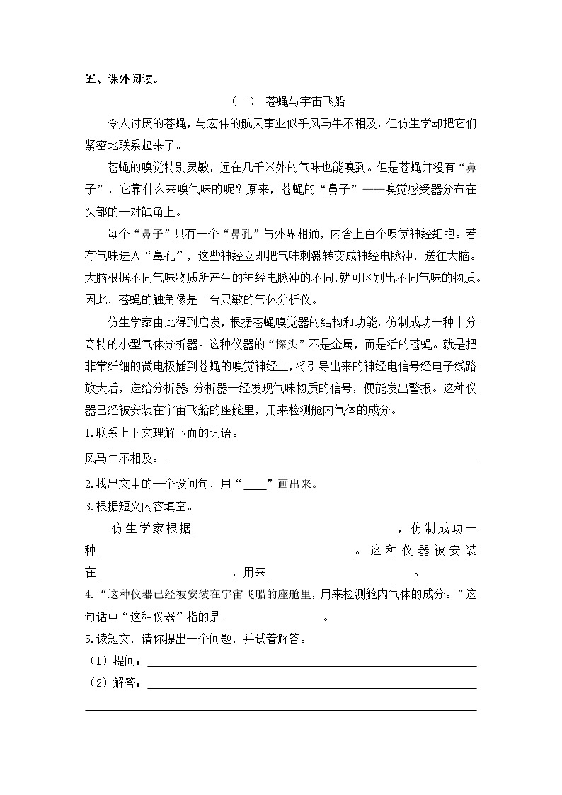 期中阶段练习试卷（试题）统编版语文四年级上册第2页