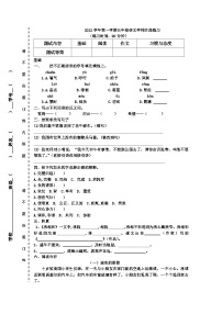 期中阶段练习（试题）-统编版语文五年级上册