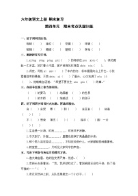 4、第四单元 期末考点巩固训练 （含答案）2023-2024学年六年级语文上册（统编版）