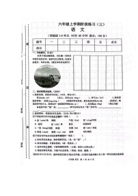 甘肃省庆阳市宁县宁县太昌乡小学2023-2024学年六年级上学期12月月考语文试题