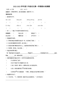 35、2022-2023学年广东省河源市东源县部编版六年级上册期末考试语文试卷（原卷版）