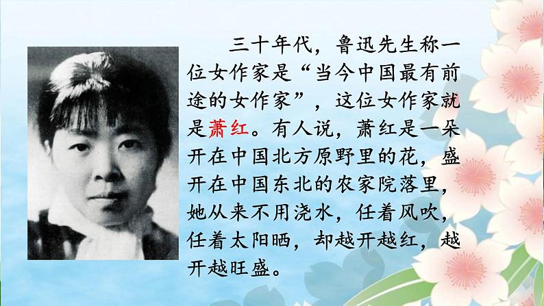 部编版语文五年级下册 2 祖父的园子（第一课时）课件第1页