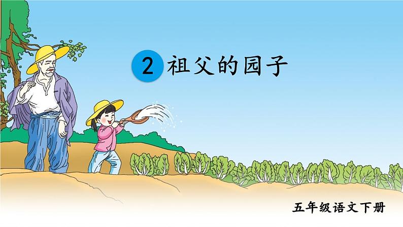 部编版语文五年级下册 2 祖父的园子（第一课时）课件第3页
