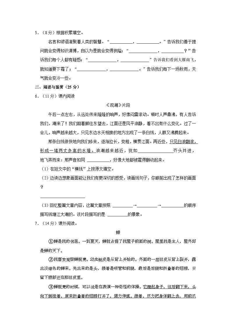 2023-2024学年河南省驻马店市平舆县四年级上学期期中语文试卷（含答案）02