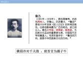 中国现代文学之小说篇 阅读拓展课件