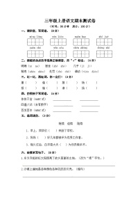 期末试卷（试题）三年级语文上册统编版