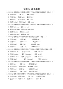 专题01+字音字形+2023-2024学年语文六年级上册期末备考真题分类汇编（河南地区专版）