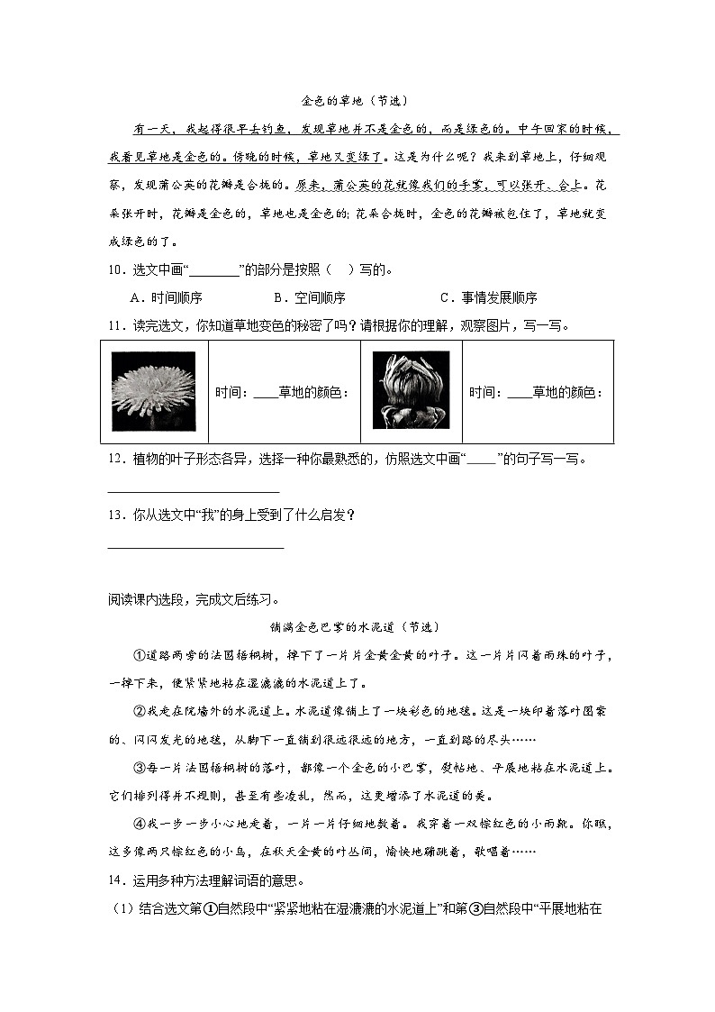 部编版语文三年级上册期末专项复习-课内现代文阅读试题第3页