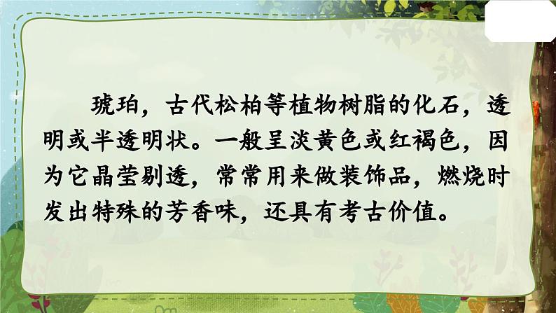 部编版语文四年级下册 5 琥珀（第一课时） 课件04