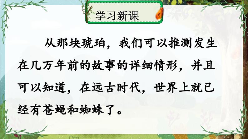 部编版语文四年级下册 5 琥珀（第二课时） 课件第5页