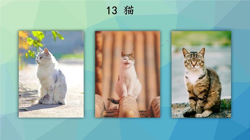 部编版语文四年级下册 13 猫（第一课时） 课件03