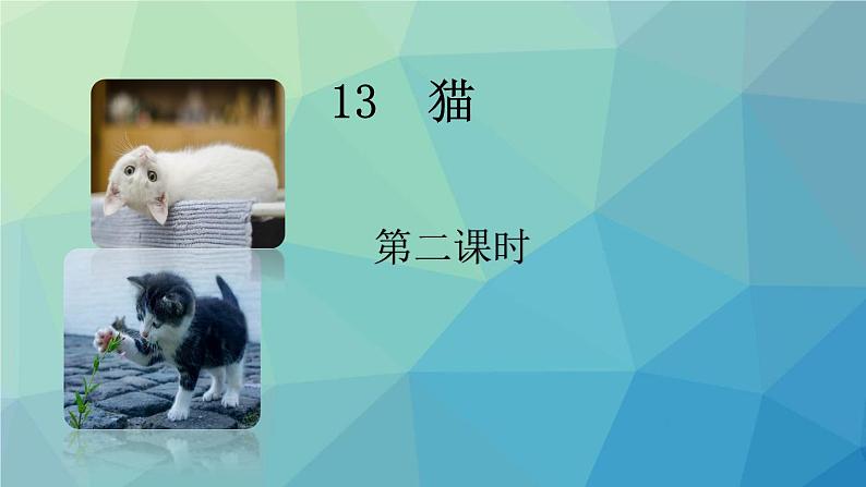 部编版语文四年级下册 13 猫（第二课时） 课件01