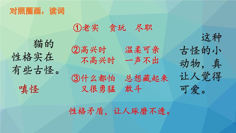 部编版语文四年级下册 13 猫（第二课时） 课件05