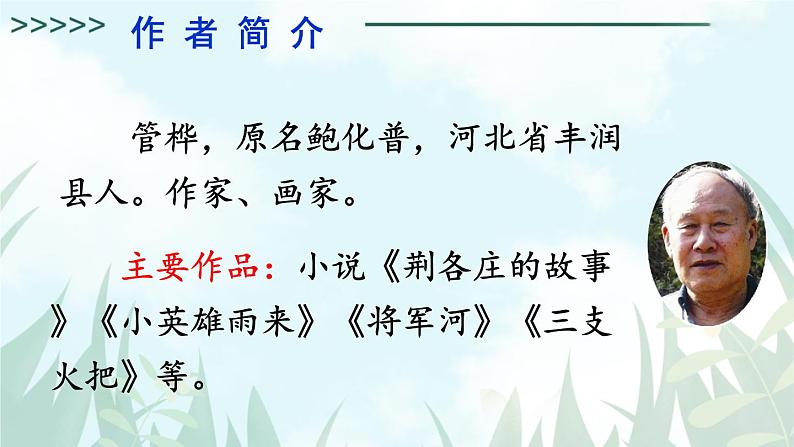 部编版语文四年级下册 19 小英雄雨来（节选）（第一课时） 课件05