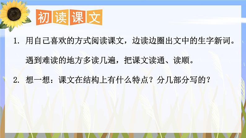 部编版语文四年级下册 21 芦花鞋 课件第6页