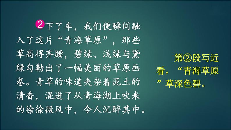 部编版语文四年级下册 习作：游________（第二课时） 课件04