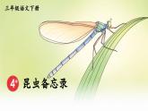 部编版语文三年级下册 4 昆虫备忘录 课件