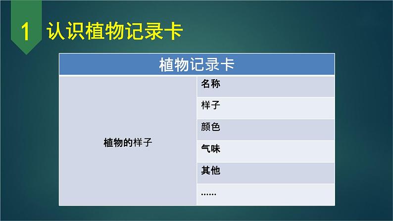 部编版语文三年级下册 习作：我的植物朋友（第一课时） 课件第8页