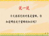 部编版语文三年级下册 14 蜜蜂（第一课时） 课件