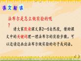 部编版语文三年级下册 14 蜜蜂（第二课时） 课件
