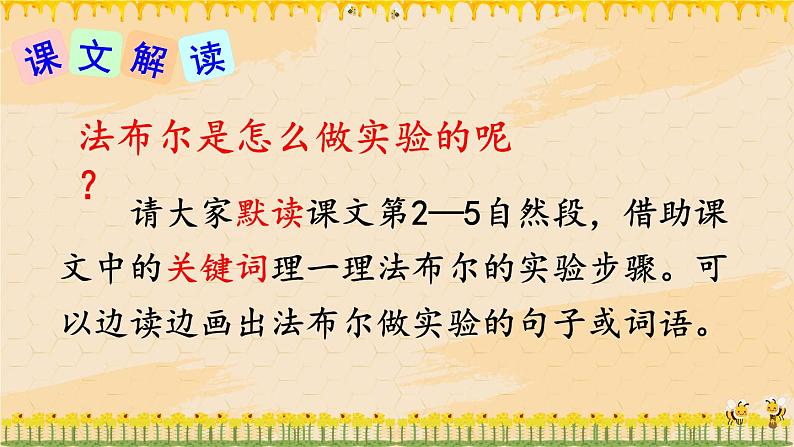 部编版语文三年级下册 14 蜜蜂（第二课时） 课件第4页