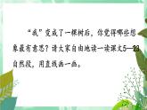 部编版语文三年级下册 17 我变成了一棵树（第二课时） 课件