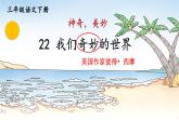 部编版语文三年级下册 22 我们奇妙的世界（第一课时） 课件