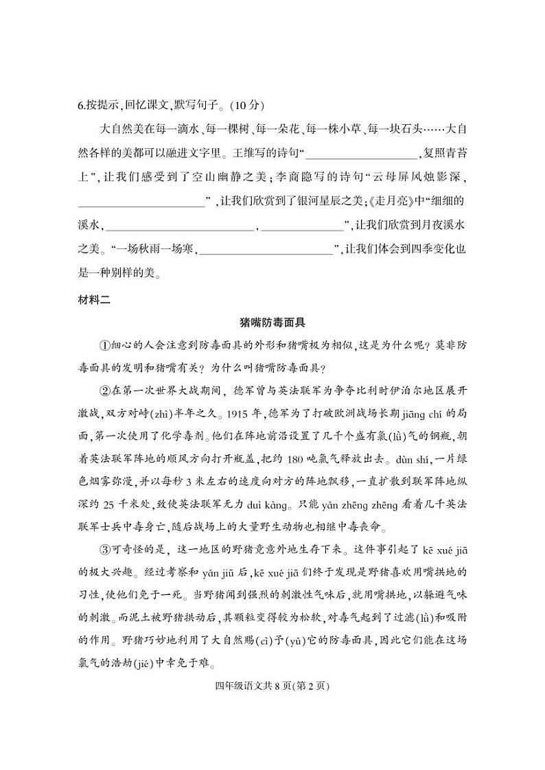 河北省保定市地区2023-2024学年四年级上学期期中考试语文试题02