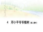 部编版语文二年级下册 4 邓小平爷爷植树（第二课时） 课件