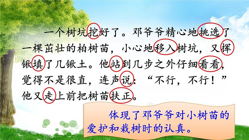 部编版语文二年级下册 4 邓小平爷爷植树（第二课时） 课件08