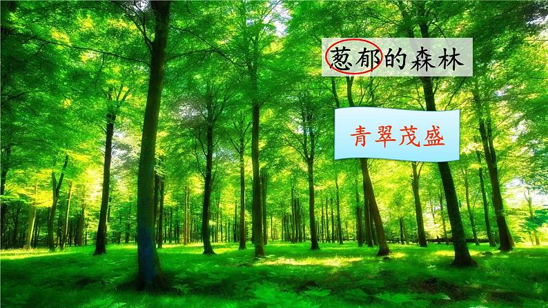 部编版语文二年级下册 8 彩色的梦（第二课时） 课件第7页