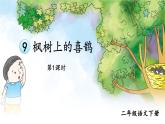 部编版语文二年级下册 9 枫树上的喜鹊（第一课时） 课件