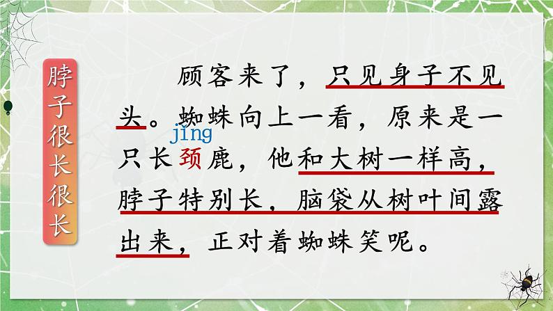 部编版语文二年级下册 20 蜘蛛开店（第二课时） 课件第8页