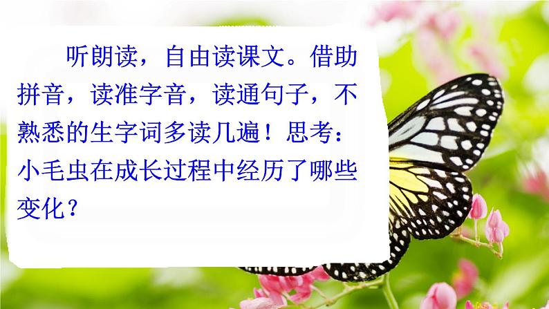 部编版语文二年级下册 22 小毛虫（第一课时） 课件第3页