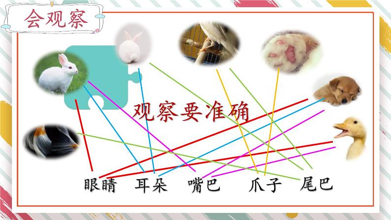 部编版语文二年级下册 语文园地七 写话 课件第4页