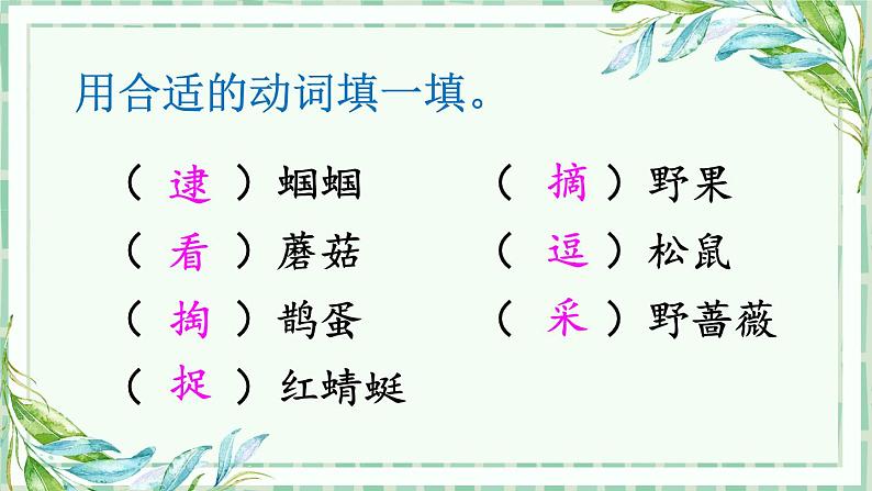 部编版语文二年级下册 23 祖先的摇篮（第二课时） 课件08