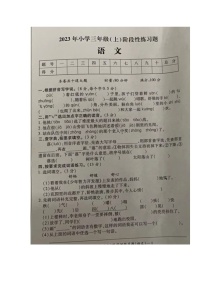 湖南省邵阳市新宁县军田乡中心小学2023-2024学年三年级上学期期中考试语文试题