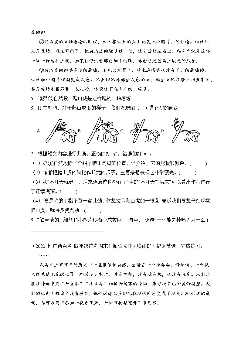 专题05现代文阅读2023-2024学年语文四年级上册期末备考真题分类汇编（统编版+全国通用）02
