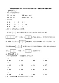 云南省昆明市县市区2022-2023学年五年级上学期期末考试语文试卷