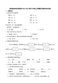 陕西省宝鸡市凤翔县2022-2023学年六年级上学期期末考试语文试卷