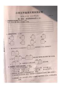 江苏南京市鼓楼区2020年1月五年级语文上册期末试卷及答案