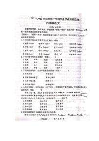 山东省青岛市黄岛区2022-2023学年六年级下学期学业质量监测语文试卷