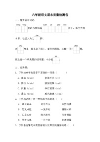 期末质量检测卷（试题）-统编版语文六年级上册