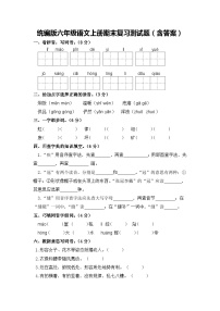 统编版六年级语文上册期末复习测试题（含答案）