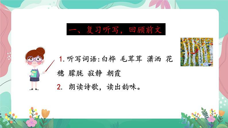 人教部编版小学语文四年级下册第三单元 11 白桦 课件02