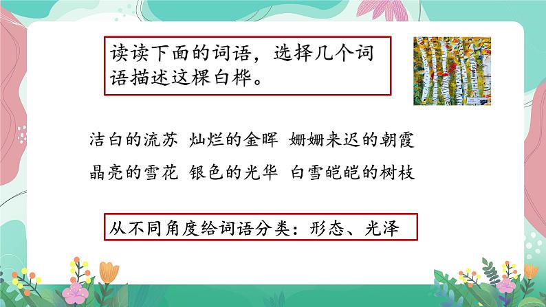 人教部编版小学语文四年级下册第三单元 11 白桦 课件04