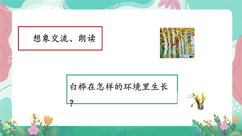 人教部编版小学语文四年级下册第三单元 11 白桦 课件05