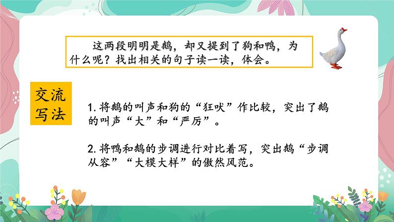 人教部编版小学语文四年级下册第四单元 15  白鹅 课件06