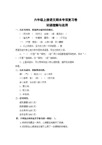 专题2：词语理解与运用-2023-2024学年六年级上册语文期末专项知识点（统编版）